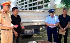 Phát hiện xe tải chở hơn 1.200 lọ kem dưỡng da không rõ nguồn gốc ở Nghệ An