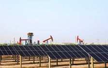 'Petrostates' xưa rồi - một quốc gia sắp cho Mỹ, EU 'hít khói' để trở thành 'electrostates' đầu tiên trên toàn cầu