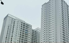 Chung cư gần 10 năm tuổi giá hơn 100 triệu đồng/m2