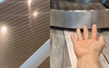 Nhà ga T3 Tân Sơn Nhất tiếp tục bị dột, ACV lý giải nguyên nhân