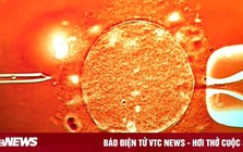 67 trẻ sinh ra từ tinh trùng người hiến mang gene ung thư, 10 trẻ mắc bệnh