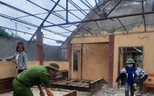 Dùng AI truy tìm nguyên nhân động đất kích thích tại Việt Nam