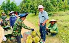 Sở hữu nông trại sầu riêng 2.000ha lớn nhất Đông Nam Á, Hoàng Anh Gia Lai của bầu Đức đón nhận tin vui từ Thủ tướng
