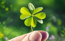 Ngành “biến người thường thành tỷ phú” ở 21 tỉnh phía Nam: Hàng triệu người tham gia chi ra số tiền hơn 140.000 tỷ, nhận về 68.000 tỷ, không ít người đổi đời