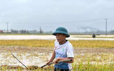 Tháng 5 dị thường ở miền Bắc, miền Trung