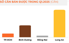 Khu vực có giao dịch nhà phố, biệt thự tăng hơn 100% so với quý trước, dẫn đầu nguồn cung toàn thị trường trong năm 2025