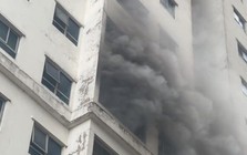 Hà Nội: Cháy căn hộ ở chung cư Linh Đàm, người dân hoảng sợ