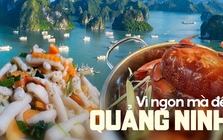 Có những người vượt hàng trăm cây số đến Quảng Ninh chỉ để ăn 3 món đặc sản này: Nhiều nơi khác cũng có nhưng không đâu ngon bằng!