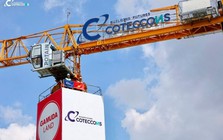 Coteccons (CTD) bị phong tỏa tài khoản số tiền gần 170 tỷ đồng