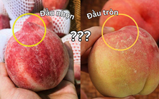 Mua đào chọn quả đầu nhọn hay đầu tròn: Hóa ra có sự khác biệt rõ ràng mà nhiều người chưa biết