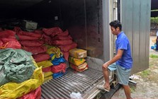 Phát hiện 25 tấn mực bốc mùi tại một kho hàng ở Quảng Ninh