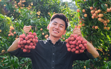 Hơn 2 triệu người theo dõi, được coi là youtuber “sạch sẽ” nhất MXH Việt Nam: Học cách Khoai Lang Thang xây dựng thương hiệu cá nhân giữa thế giới mạng hỗn loạn
