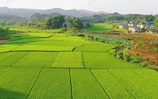 Chi tiết về hồ sơ, thủ tục khi người dân muốn xây nhà trên đất nông nghiệp theo Luật Đất đai mới