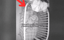 Kiểm tra camera phòng của con sáng sớm, bà mẹ ngay lập tức bật khóc khi thấy cảnh này: "Đó là điều tuyệt vời nhất tôi từng thấy trên Internet"