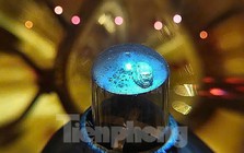 Tận mắt thấy Xá lợi Đức Phật lần đầu về Việt Nam