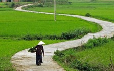 Tiếng Việt gọi tên nỗi lòng bằng một từ mà tiếng Anh chẳng thể đuổi kịp: Da diết như lời ru, sâu lắng hơn ký ức