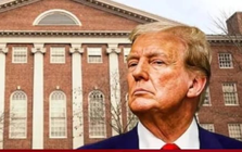 Ông Trump cho Đại học Harvard 30 ngày 'kháng cáo'