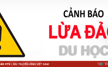 Gắn mác “du học quốc tế”, lừa nữ sinh gần 400 triệu đồng bằng văn bản giả