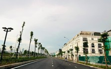 Ngành bất động sản nhà ở phục hồi mạnh mẽ