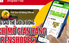 CEO Thế Giới Di Động nói về lý do không mở gian hàng trên TikTok Shop và Lazada