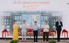Trà Hà Giang – Từ đỉnh núi cao đến tầm cao thế giới