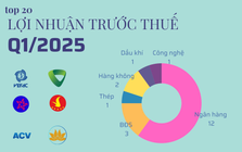 20 cái tên lãi lớn nhất quý 1/2025: 'Ngựa ô' của tỷ phú Phạm Nhật Vượng soán ngôi Vietcombank, FPT xếp cuối cùng