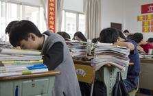 Sự thật về một ngành học mà cứ 10 người chọn thì 9 người nghĩ là "dễ"
