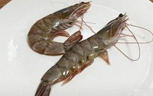 Đi chợ thấy tôm thẳng - tôm cong: Cao thủ ẩm thực chỉ chọn đúng một loại tinh hoa!