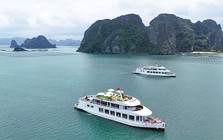 Khai trương đội tàu du lịch cao cấp trên Vịnh Bái Tử Long