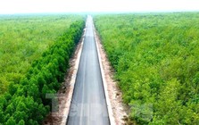 Dự án đường Hồ Chí Minh qua 4 tỉnh phía Nam vừa 'lỡ hẹn' về đích