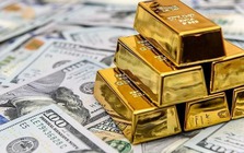 Ngày 7/5: Ngân hàng Nhà nước tiếp tục giảm tỷ giá USD, giá vàng neo cao kỷ lục