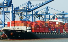 Mỹ vừa chốt đơn hơn 1 tỷ USD một 'mỏ vàng' của Việt Nam: thuế nhập khẩu 25%, nước ta là ông lớn thứ 3 thế giới