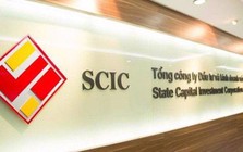 SCIC lần thứ 3 "vỡ kế hoạch" thoái vốn Domesco