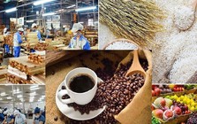 Lộ diện 'ngôi sao' sáng nhất của nông sản Việt Nam