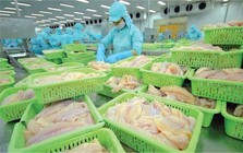Con trai TGĐ công ty xuất khẩu thủy sản top đầu Việt Nam tiếp tục bị bán giải chấp 1,64 triệu cổ phiếu