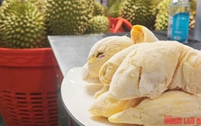 Giá sầu riêng tiếp tục giảm sâu, có loại chỉ còn 25.000 đồng/kg