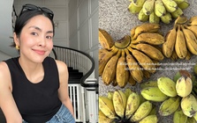Nhà hào môn không thiếu sơn hào hải vị nhưng Hà Tăng "mừng như bắt được vàng" khi mẹ đẻ cho thứ dân dã này