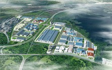 Hãng gạch nổi tiếng Việt Nam quyết làm một việc ở Cuba, hơn 6 năm sau đạt kết quả đáng ngưỡng mộ