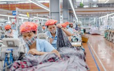 Doanh nghiệp dệt may có tỷ trọng xuất khẩu sang Mỹ cao nhất ngành sắp thưởng cổ phiếu 50%, kế hoạch lợi nhuận cao kỷ lục