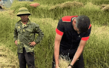 Khách Tây không ngại khó, không ngại bẩn, thích thú với trải nghiệm nhiều người Việt cũng không biết làm