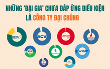 9/30 doanh nghiệp tỷ đô lớn nhất thị trường đứng trước nguy cơ hủy niêm yết: Chờ 'kim bài' miễn trừ hay lập tức hành động?