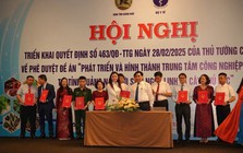 THACO nhận thêm nhiệm vụ mới: Khảo sát vùng trồng và lập dự án sản xuất, chế biến Sâm Ngọc Linh tại Quảng Nam