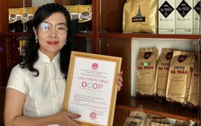Khám xét nơi ở của một nữ chủ doanh nghiệp