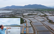 Thu hồi đất giá thấp để doanh nghiệp làm khu công nghiệp, diêm dân khiếu nại
