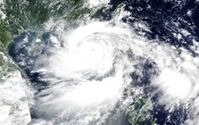 Năm 2025 có bao nhiêu cơn bão đổ bộ vào Việt Nam?
