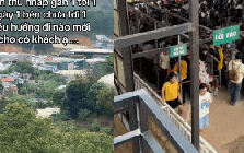 Nỗi niềm của chủ quán cafe thú cưng ở Đà Lạt: Làm mô hình giống hệt, "bên thu nhập gần 1 tỷ/ngày, mình chưa đến 1 triệu"?