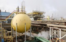 EU lần đầu tiên nhắm vào một lĩnh vực then chốt của Nga, sắp áp thuế 50% mặt hàng quan trọng của Moscow dù nhập khẩu gần 2 tỷ USD vào năm ngoái