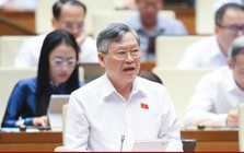 ĐBQH: Cần chế tài đủ mạnh để triệt hàng giả, hàng nhái