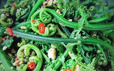 1 loại rau mọc dại ở Việt Nam được người Trung Quốc xem là “rau trường thọ”, sang tận nơi để thu mua: Giá ngang thịt bò, bổ tựa nhân sâm