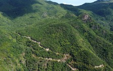 Khi bản án của tòa bị "ngó lơ" Khi bản án của tòa bị "ngó lơ"